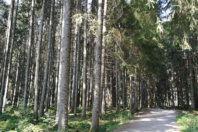 Wege sind dazu da, auf Ihnen zu gehen. Holen Sie sich Unterstützung auf Ihrem.